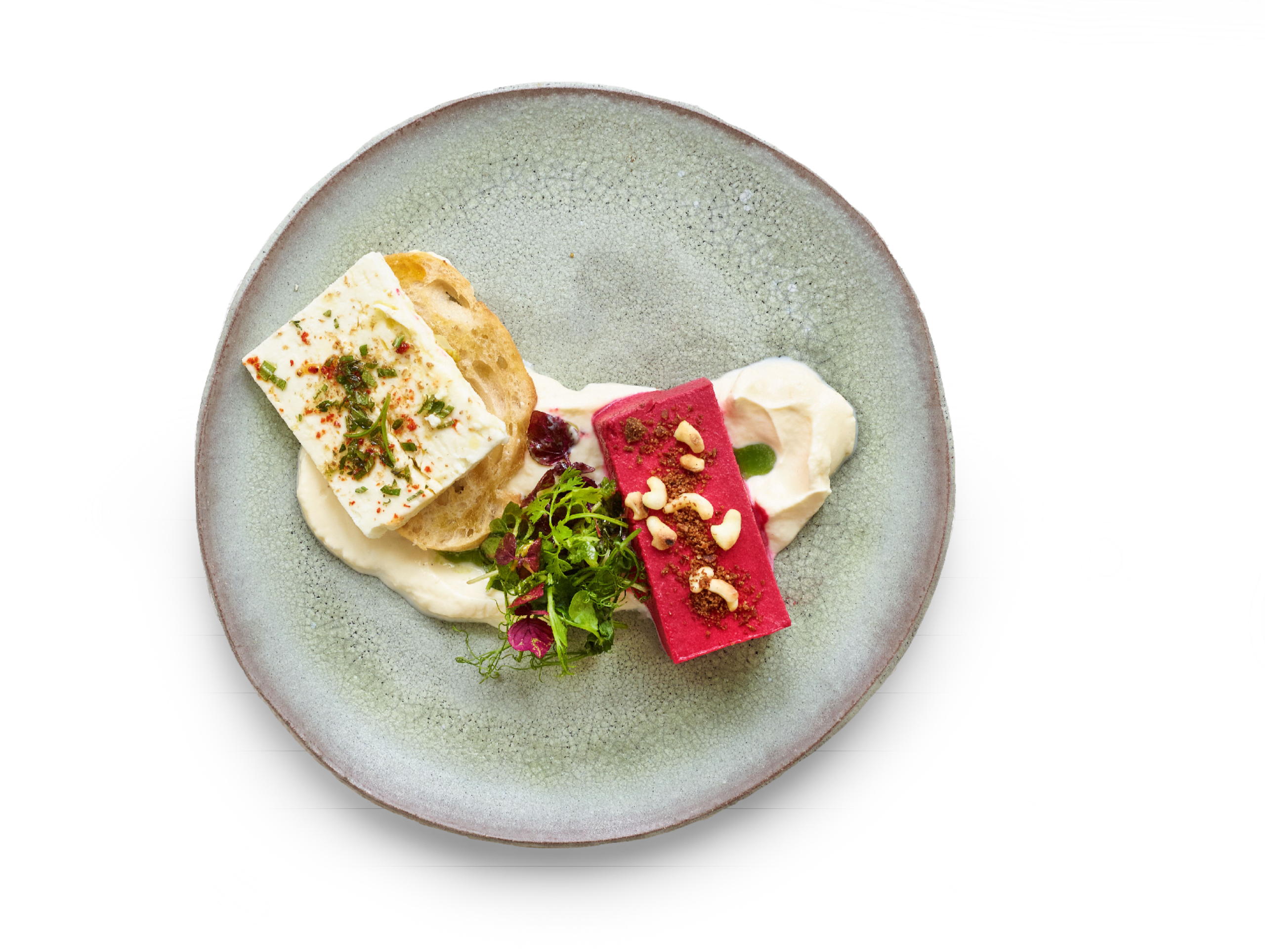 Eine plattierte Gourmet-Vorspeise mit Käse, Rübenterrine, Brotscheibe, Grünzeug und Sauce auf einem grauen Teller - ein elegantes Beispiel für professionelles Catering für Events in Köln.