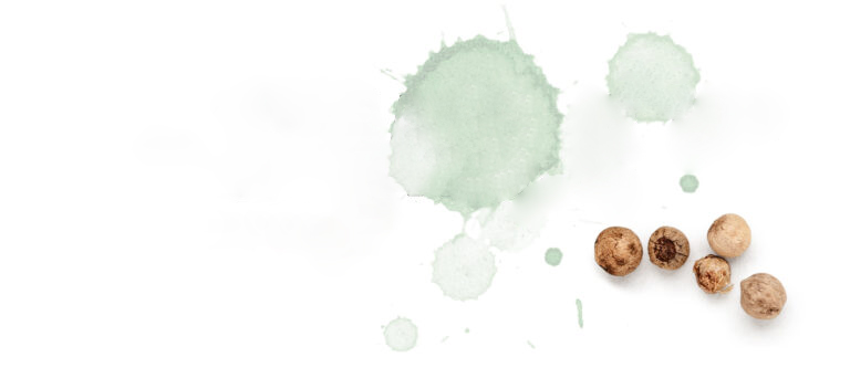 Fünf ganze Pimentkörner auf weißem Hintergrund mit aquarellgrünen Farbspritzern.